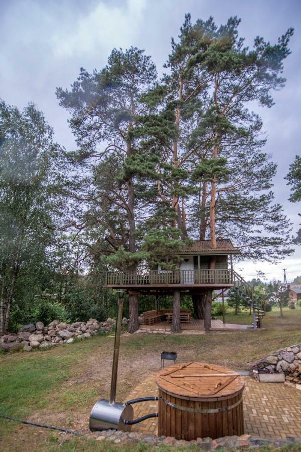 Sodyba Namelis Medyje Anyksciuose Anyksciai Exterior photo